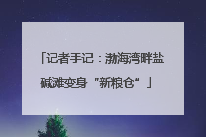记者手记：渤海湾畔盐碱滩变身“新粮仓”
