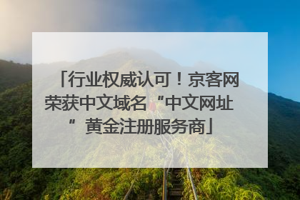 行业权威认可！京客网荣获中文域名“中文网址”黄金注册服务商