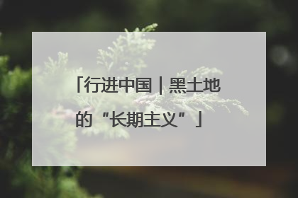 行进中国｜黑土地的“长期主义”