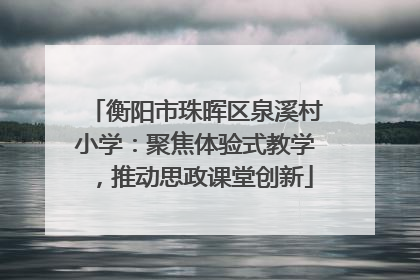 衡阳市珠晖区泉溪村小学：聚焦体验式教学，推动思政课堂创新