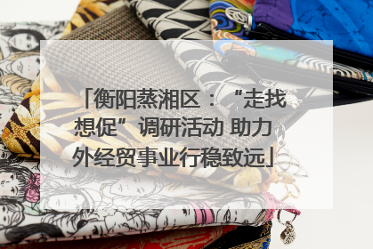 衡阳蒸湘区：“走找想促”调研活动 助力外经贸事业行稳致远