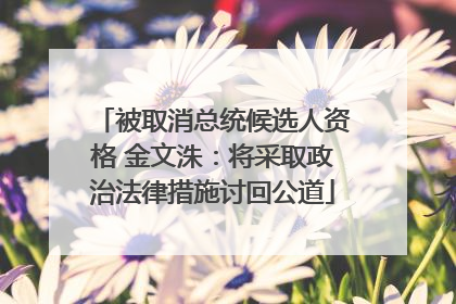 被取消总统候选人资格 金文洙：将采取政治法律措施讨回公道