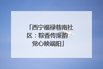 西宁福禄巷南社区：粽香传廉韵 党心映端阳