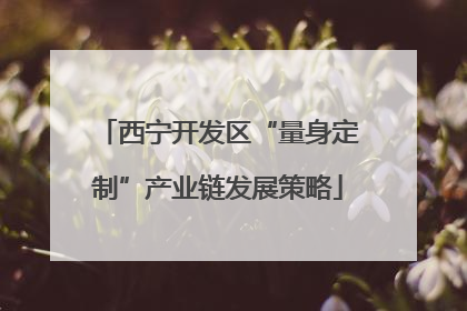 西宁开发区“量身定制”产业链发展策略