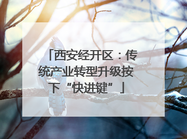 西安经开区：传统产业转型升级按下“快进键”