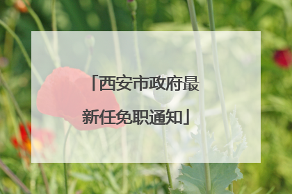 西安市政府最新任免职通知