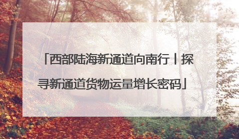 西部陆海新通道向南行丨探寻新通道货物运量增长密码