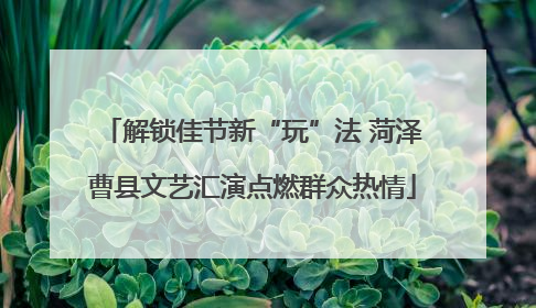 解锁佳节新“玩”法 菏泽曹县文艺汇演点燃群众热情