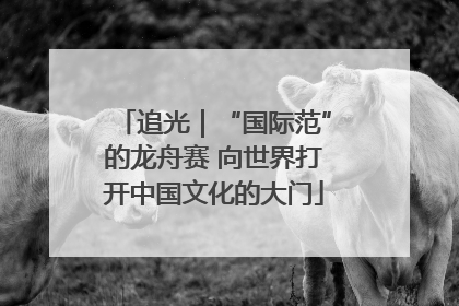 追光｜“国际范”的龙舟赛 向世界打开中国文化的大门