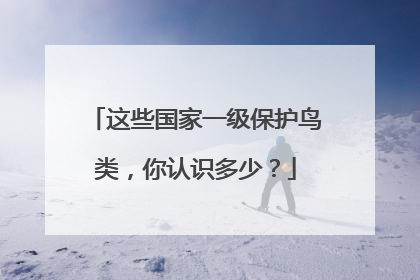 这些国家一级保护鸟类，你认识多少？