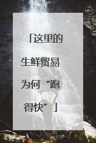 这里的生鲜贸易为何“跑得快”