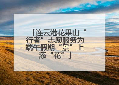 连云港花果山“行者”志愿服务为端午假期“景”上添“花”