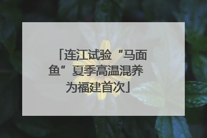 连江试验“马面鱼”夏季高温混养 为福建首次
