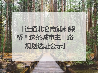 连通北仑霞浦和柴桥！这条城市主干路规划选址公示