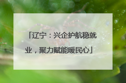 辽宁：兴企护航稳就业，聚力赋能暖民心