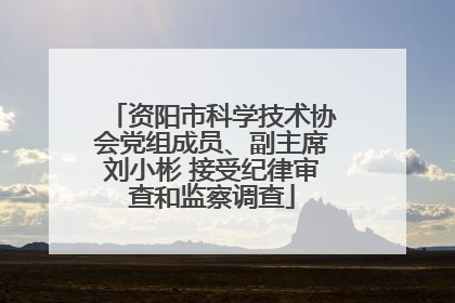 资阳市科学技术协会党组成员、副主席刘小彬 接受纪律审查和监察调查