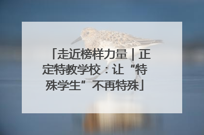 走近榜样力量｜正定特教学校：让“特殊学生”不再特殊