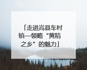 走进嵩县车村镇—领略“黄精之乡”的魅力
