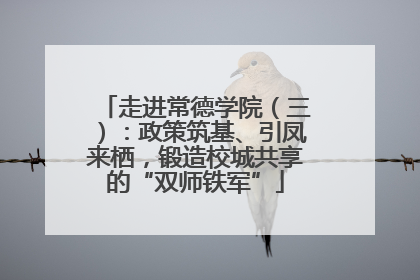 走进常德学院（三）：政策筑基、引凤来栖，锻造校城共享的“双师铁军”