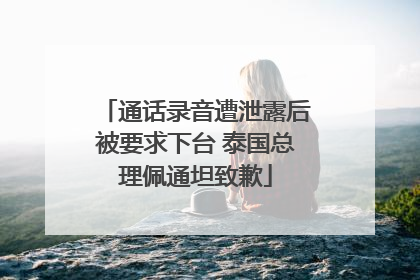 通话录音遭泄露后被要求下台 泰国总理佩通坦致歉