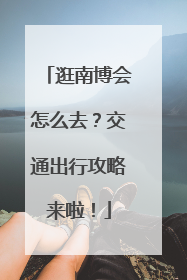 逛南博会怎么去？交通出行攻略来啦！