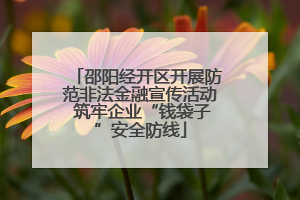邵阳经开区开展防范非法金融宣传活动 筑牢企业“钱袋子”安全防线