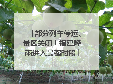 部分列车停运、景区关闭！福建降雨进入最强时段