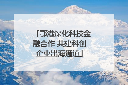鄂港深化科技金融合作 共建科创企业出海通道