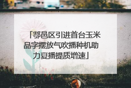 鄠邑区引进首台玉米品字摆放气吹播种机助力夏播提质增速