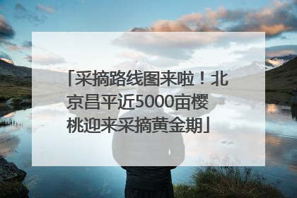 采摘路线图来啦！北京昌平近5000亩樱桃迎来采摘黄金期