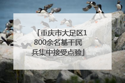 重庆市大足区1800余名基干民兵集中接受点验