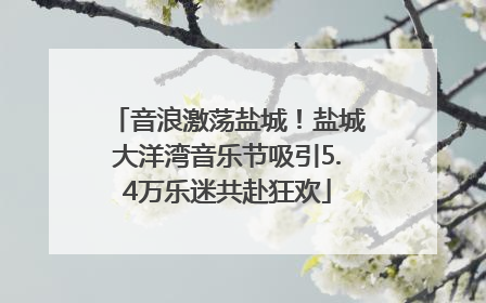 音浪激荡盐城！盐城大洋湾音乐节吸引5.4万乐迷共赴狂欢