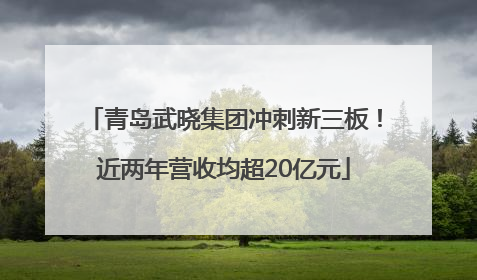 青岛武晓集团冲刺新三板！近两年营收均超20亿元