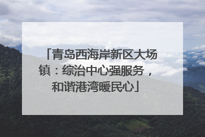 青岛西海岸新区大场镇：综治中心强服务，和谐港湾暖民心