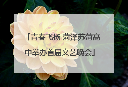 青春飞扬 菏泽苏菏高中举办首届文艺晚会