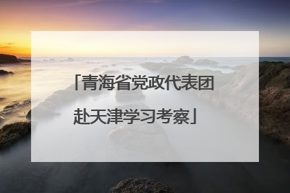 青海省党政代表团赴天津学习考察