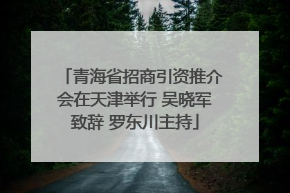 青海省招商引资推介会在天津举行 吴晓军致辞 罗东川主持