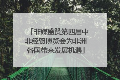 非媒盛赞第四届中非经贸博览会为非洲各国带来发展机遇