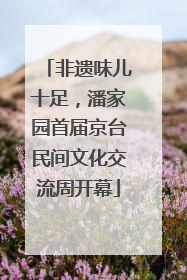 非遗味儿十足，潘家园首届京台民间文化交流周开幕