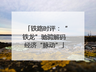 铁路时评：“铁龙”驰骋解码经济“脉动”