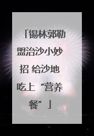 锡林郭勒盟治沙小妙招 给沙地吃上“营养餐”