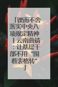 锲而不舍落实中央八项规定精神丨云南曲靖：让基层干部不用“围着表格转”