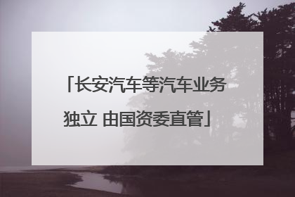 长安汽车等汽车业务独立 由国资委直管