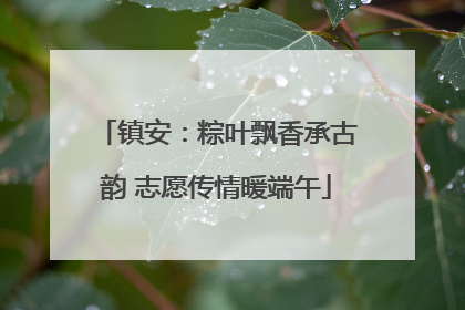镇安：粽叶飘香承古韵 志愿传情暖端午