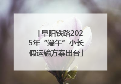 阜阳铁路2025年“端午”小长假运输方案出台