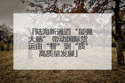陆海新通道“最强大脑” 带动国际货运由“智”到“质”高质量发展