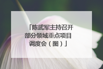 陈武军主持召开部分领域重点项目调度会（图）