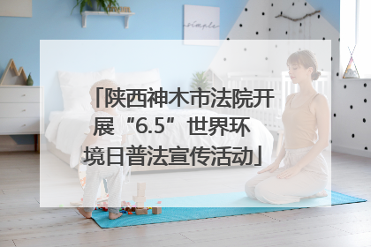 陕西神木市法院开展“6.5”世界环境日普法宣传活动