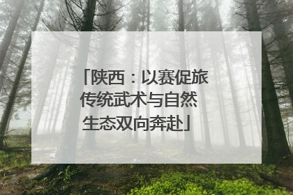 陕西：以赛促旅 传统武术与自然生态双向奔赴