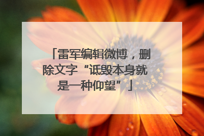 雷军编辑微博，删除文字“诋毁本身就是一种仰望”